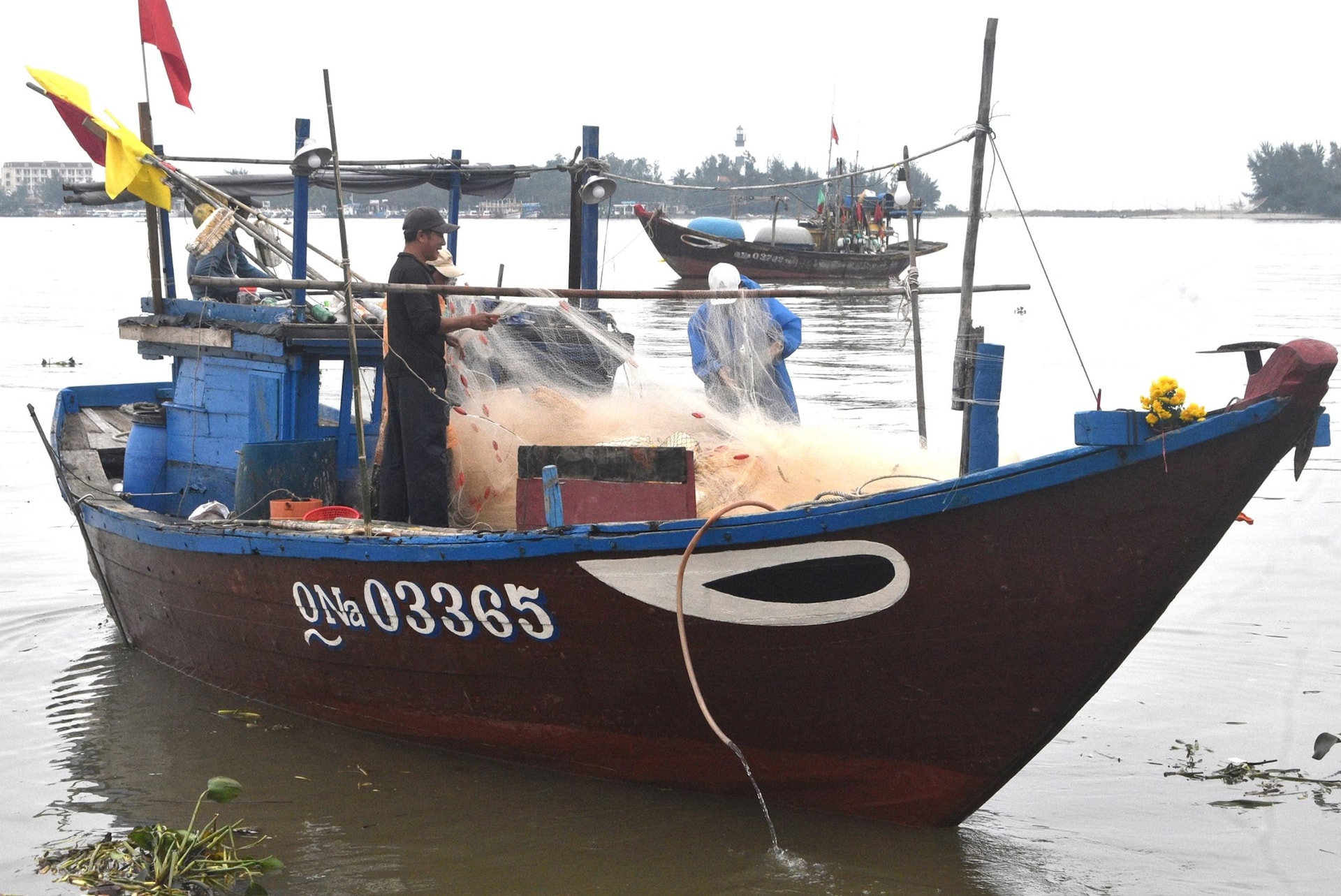 Ngư dân Cẩm Thanh vào mùa đánh bắt cá trích