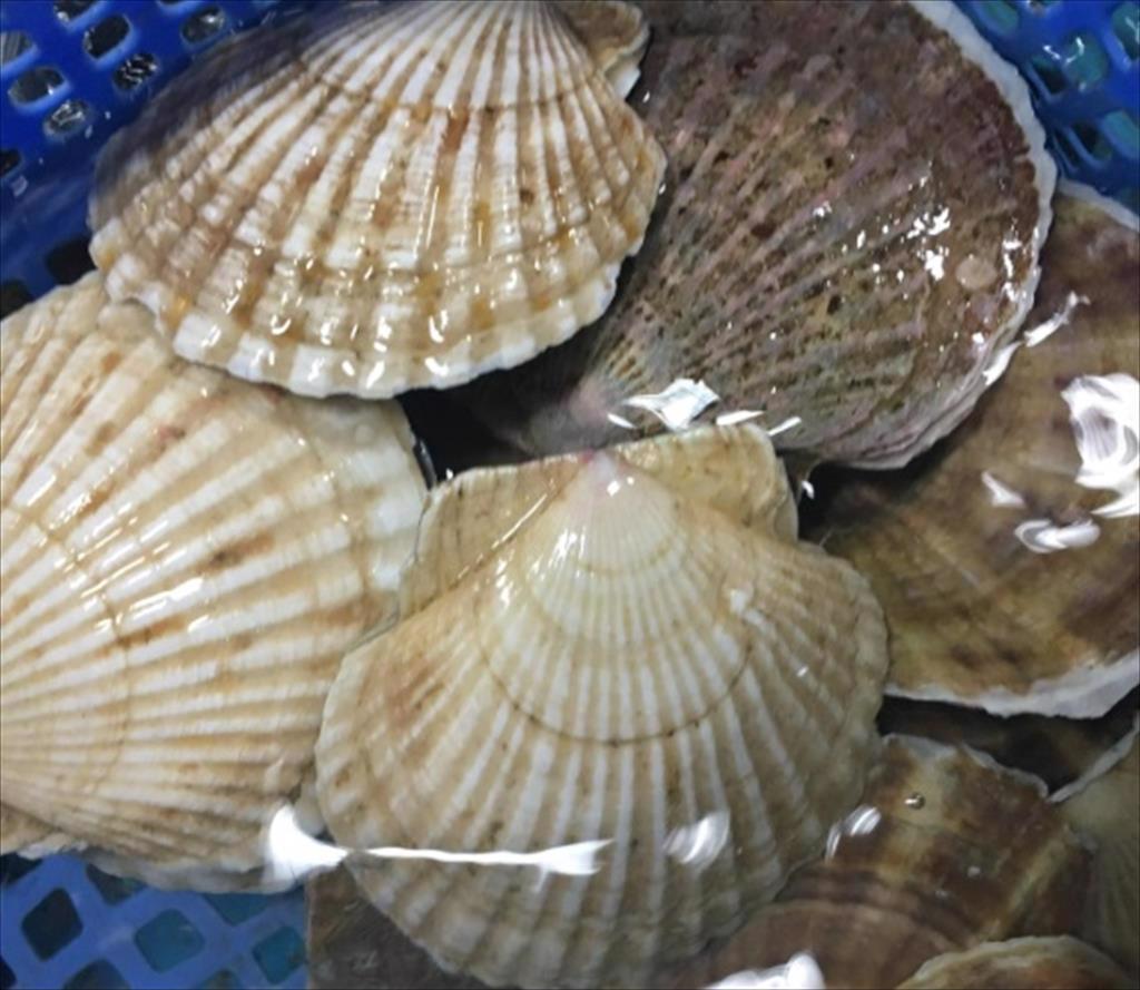 Những thay đổi lớn trong dòng chảy thương mại sau lệnh cấm nhập khẩu hải sản Nhật Bản của Trung Quốc