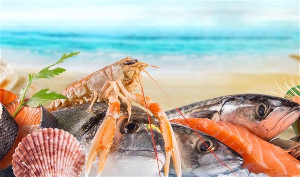 Tiêu thụ thủy sản toàn cầu trì trệ, sản lượng đánh bắt phục hồi