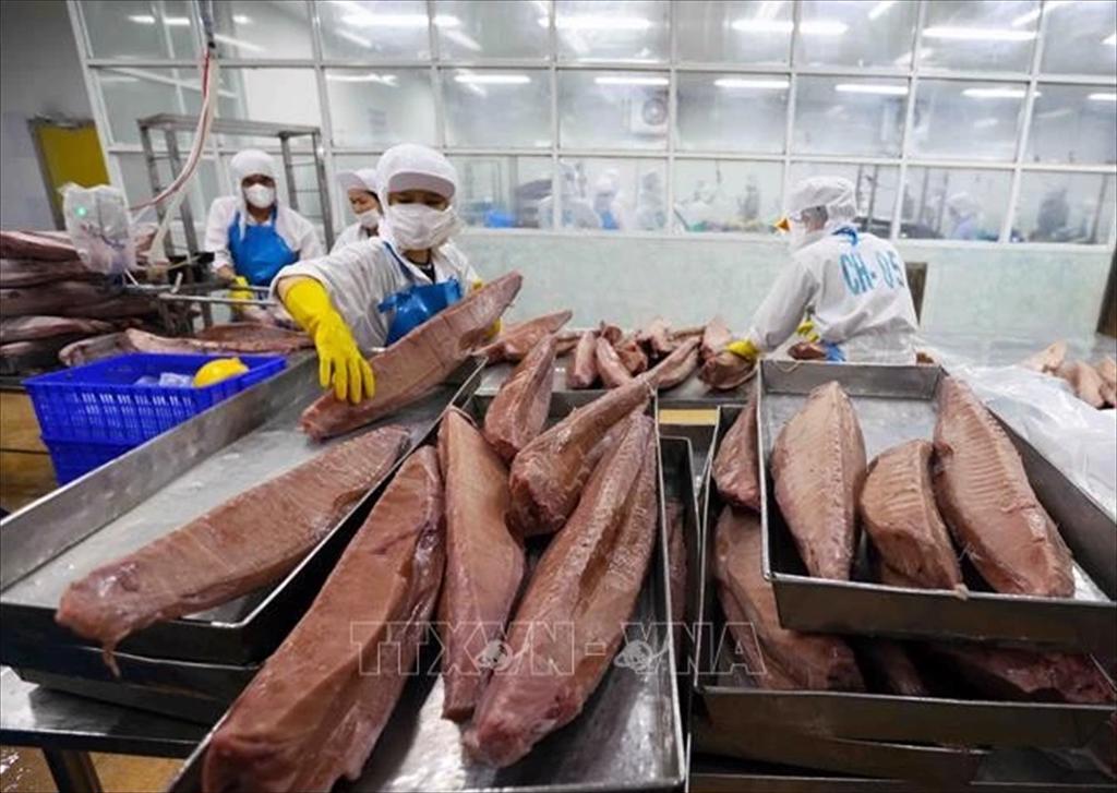 Wave of momentum to float Vietnams seafood exports to 10–15% growth