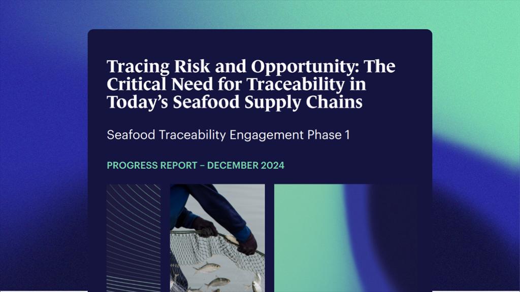 Truy xuất nguồn gốc đóng vai trò quan trọng trong tương lai của ngành nguyên liệu biển  