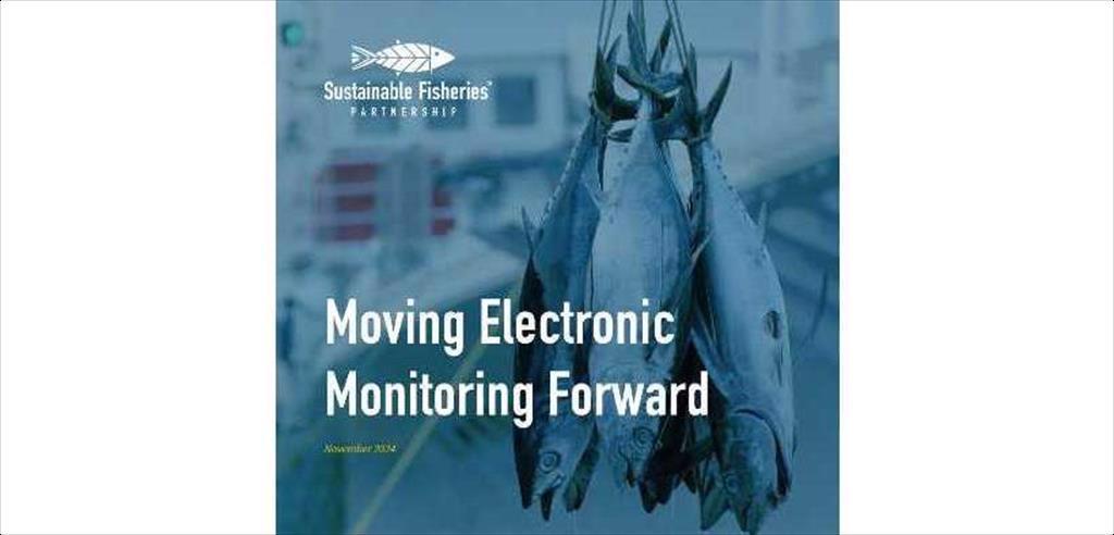 Hội thảo giám sát khai thác điện tử tại Costa Rica  