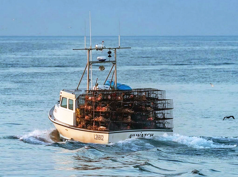 Tìm kiếm sự hỗ trợ của cộng đồng để quản lý nghề cá bền vững