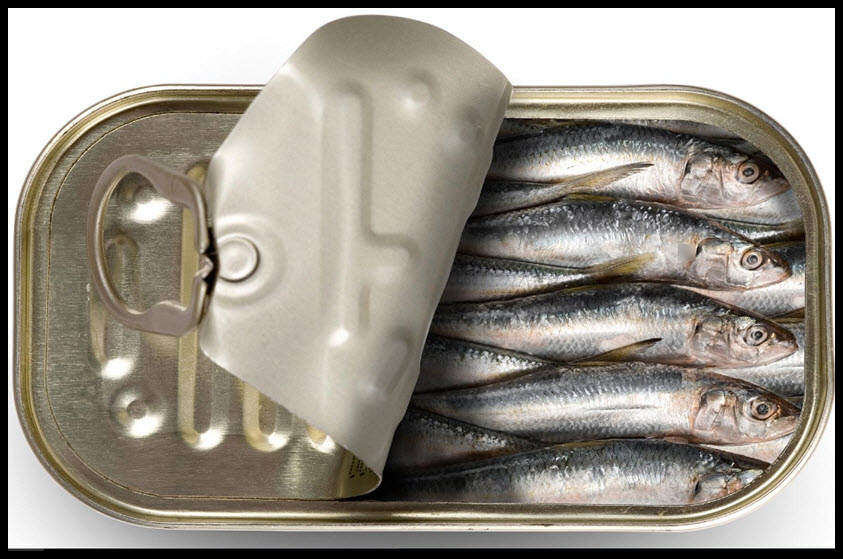 EU phê duyệt hạn ngạch nhập khẩu miễn thuế cá Na Uy