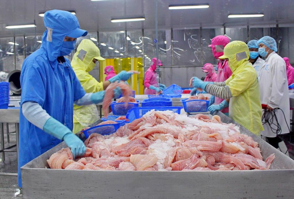 Vietnams pangasius industry ready to conquer new milestones by 2025