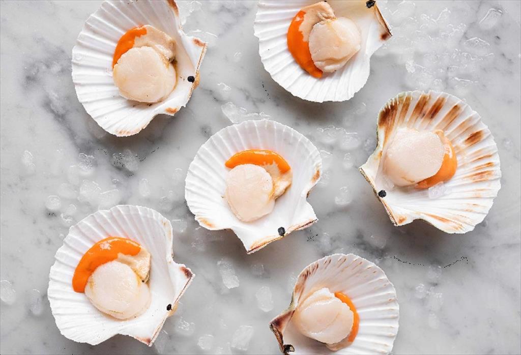 Xuất khẩu sò điệp tăng mạnh 