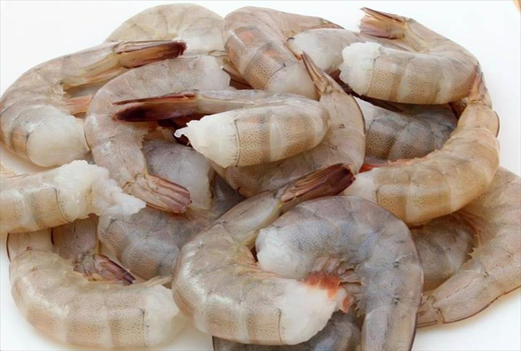 Infographic Xuất khẩu tôm Việt Nam năm 2024 