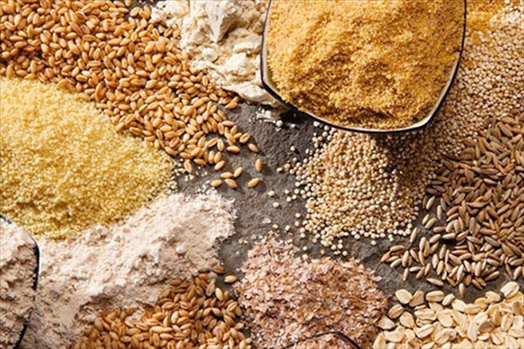 Tebrio khởi công xây dựng trang trại côn trùng lớn nhất thế giới