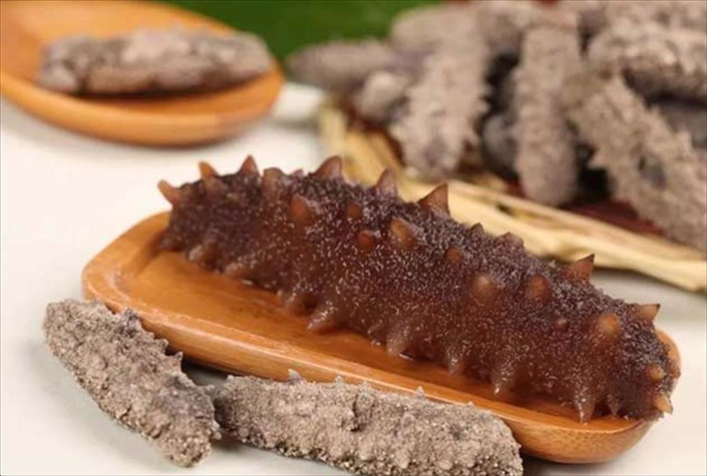 Úc thu giữ hơn 6 tấn hải sâm đánh bắt bất hợp pháp