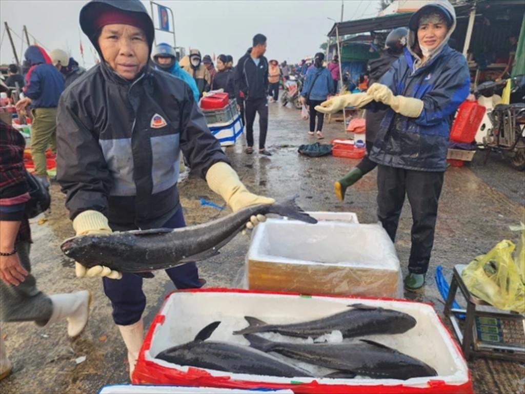 Central Vietnams fishermen gear up for Tet seafood demand