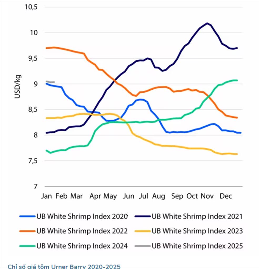 Dự báo tích cực về giá cá hồi và tôm năm 2025
