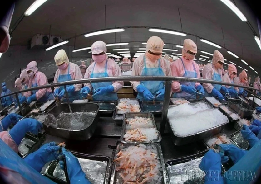 Vietnam secures top five spot in Singapores seafood market