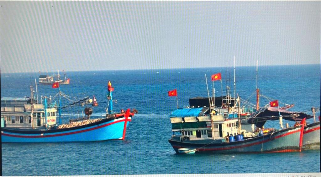 Ngư dân miền Trung bội thu chuyến biển cuối năm