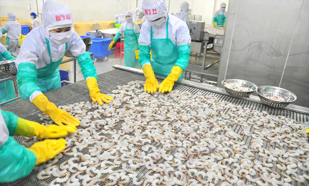 Vietnam’s seafood exports expected to hit 11 billion USD in 2025
