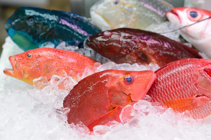 Những quan ngại của thị trường thủy sản Mỹ trước đe dọa thuế quan của Tổng thống Trump