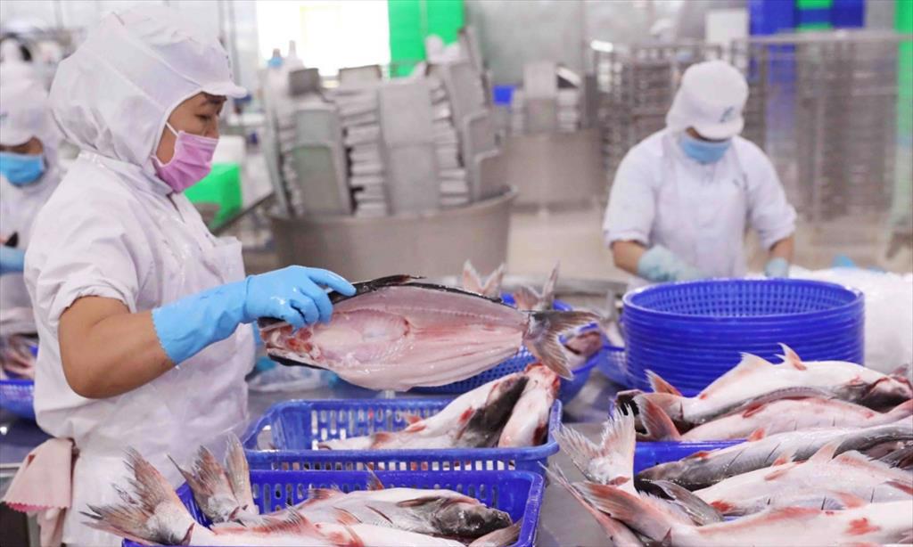 Vĩnh Hoàn posts record profit in Q4 2024, highest in 6 quarters