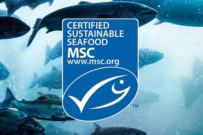 Thị trường hải sản bền vững phát triển mạnh mẽ ở Anh và Ireland