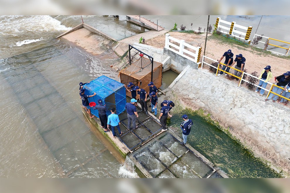 ASEAN, Úc tăng cường hợp tác vì nghề cá bền vững