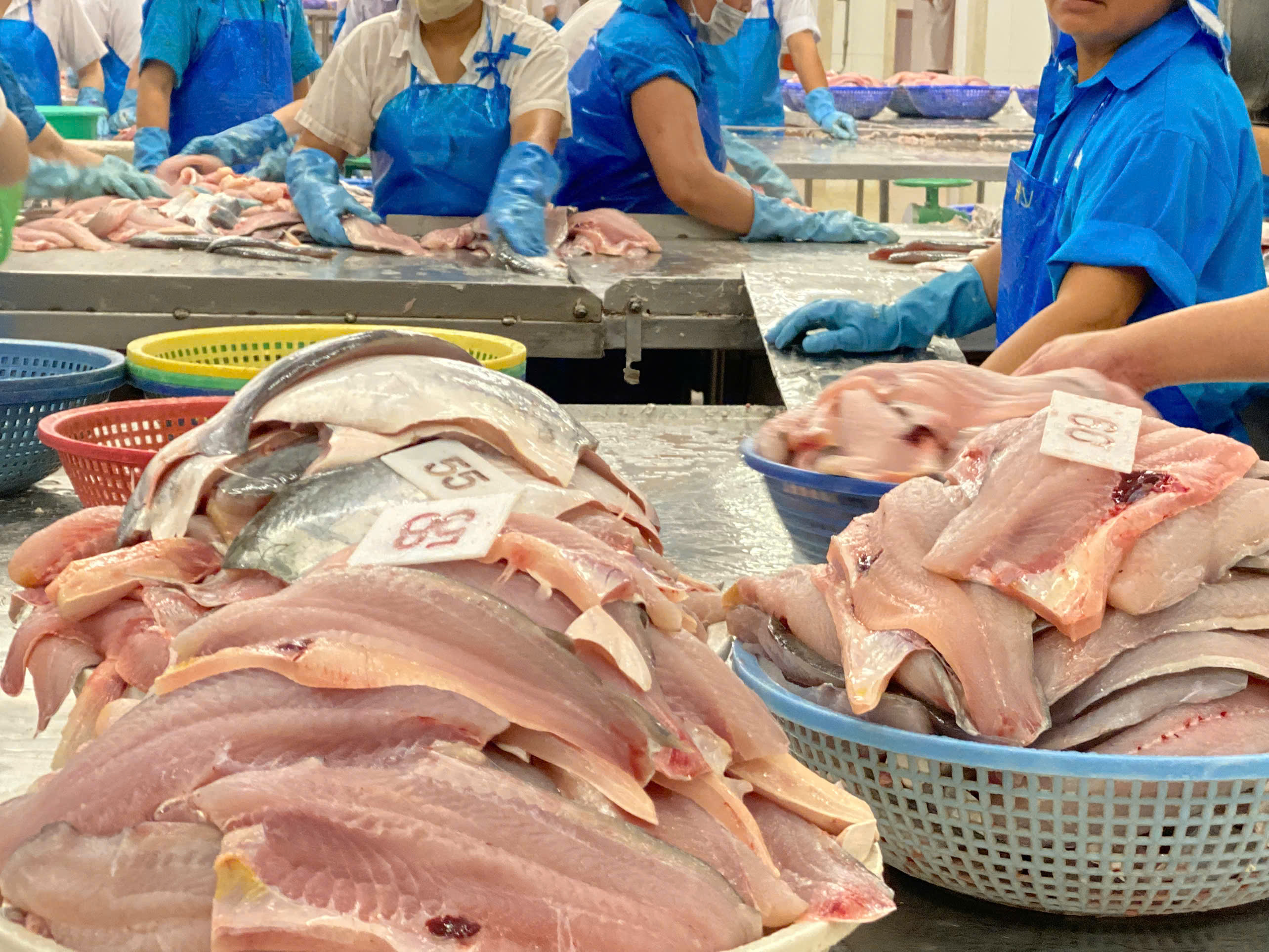 Anh gia nhập CPTPP, thêm lợi thế cho xuất khẩu cá tra sang Anh 