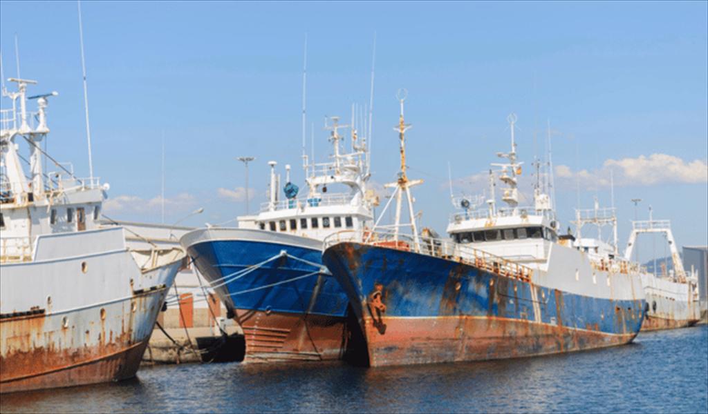 EU đặt ra tiêu chuẩn mới cho dữ liệu đánh bắt cá giải trí để quản lý trữ lượng cá