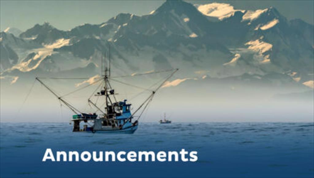 USDA mời thầu số lượng cá minh thái lớn thứ hai từ trước đến nay