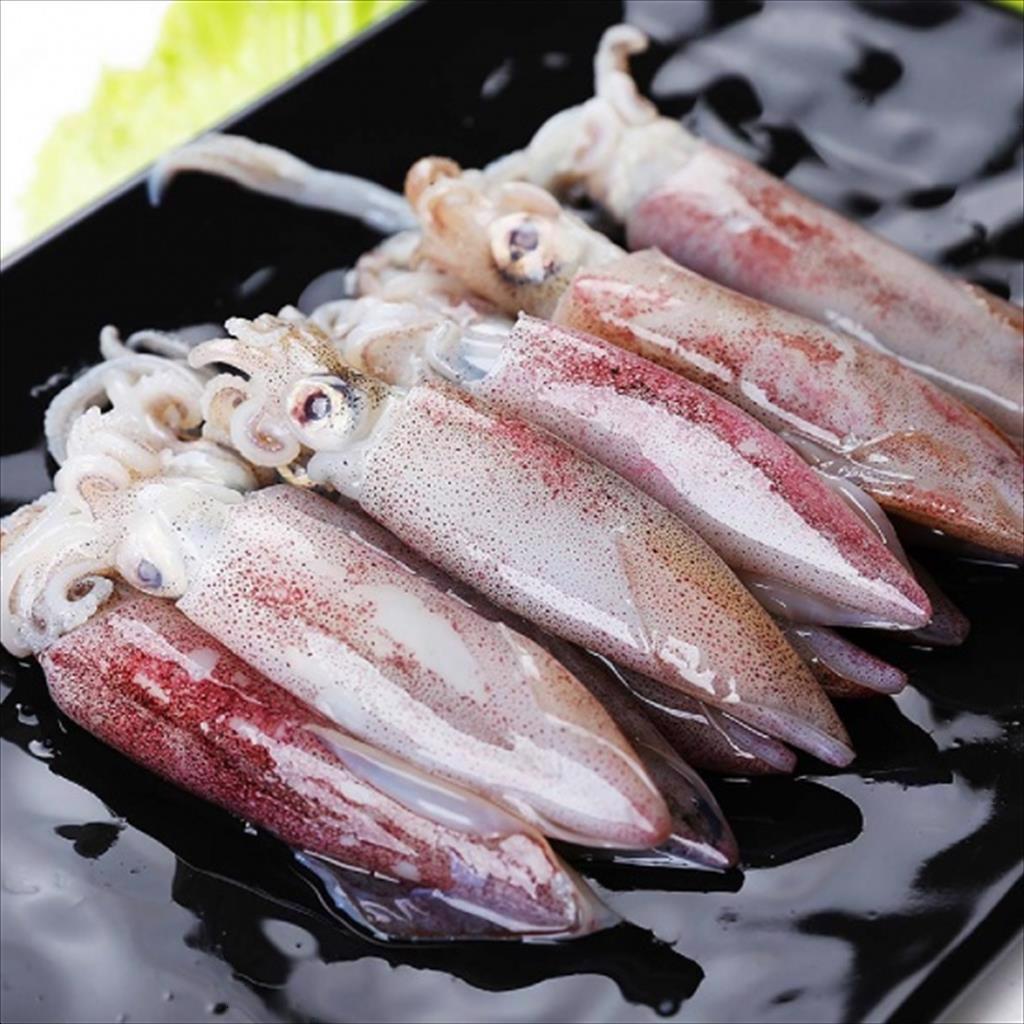 Giá mực ống thế giới tăng do thiếu hụt nguồn cung