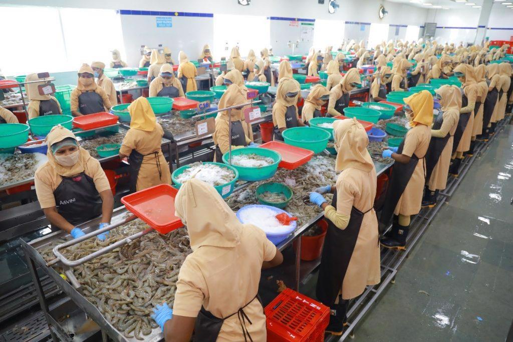 Ngành thủy sản của Ấn Độ tăng trưởng mạnh, chiếm 8% sản lượng sản xuất toàn cầu