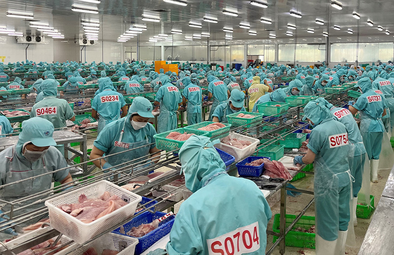 Top Vietnamese pangasius exporting companies over the past decade