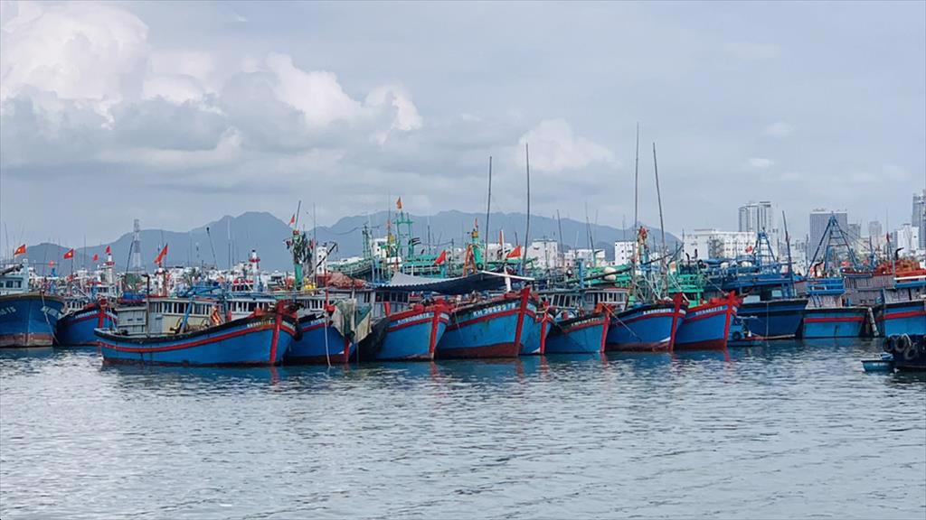 Khắc phục thẻ vàng IUU Các địa phương tăng cường quản lý hoạt động tàu cá