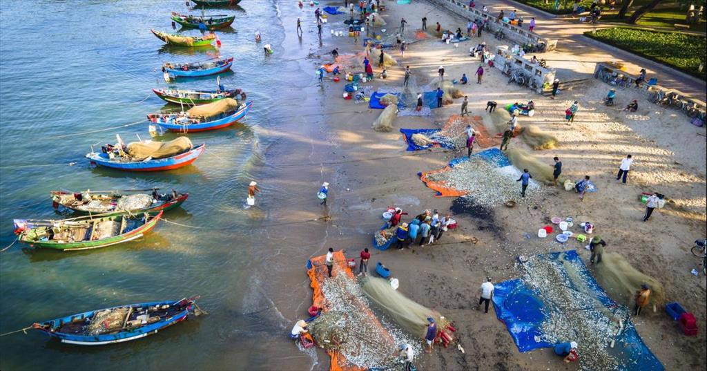 Bà Rịa – Vũng Tài giảm nghề cá tận diệt, tăng nghề thân thiện môi trường