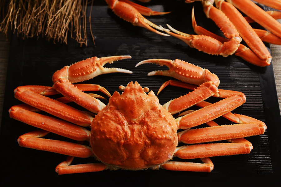 Hàn Quốc áp dụng biện pháp kiểm soát nhập khẩu cua tuyết 