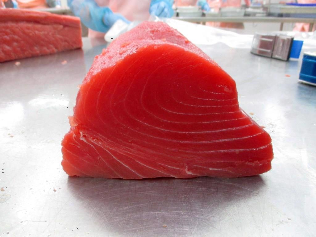 Tuna export market experiences significant fluctuations in early 2025