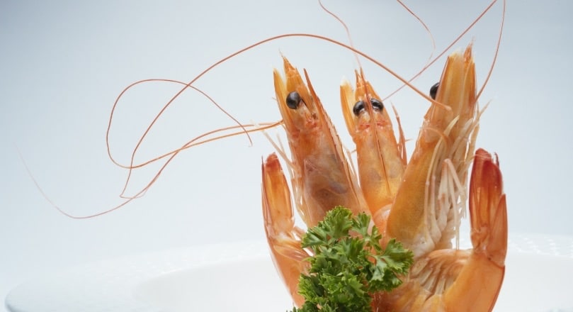 Santa Priscila, Songa dẫn đầu xuất khẩu tôm của Ecuador  