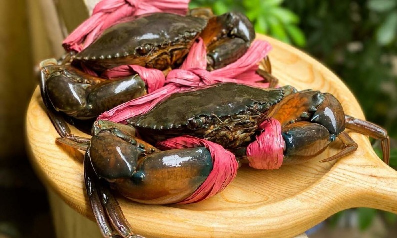 Triển vọng tích cực cho xuất khẩu cua sang Trung Quốc