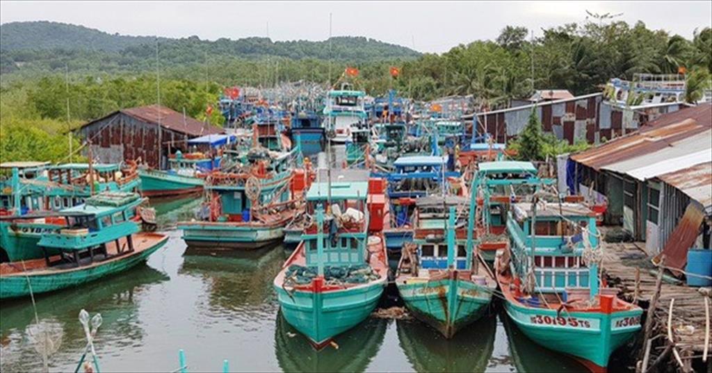 Kiên Giang Enhances Efforts to Combat Illegal Fishing Activities