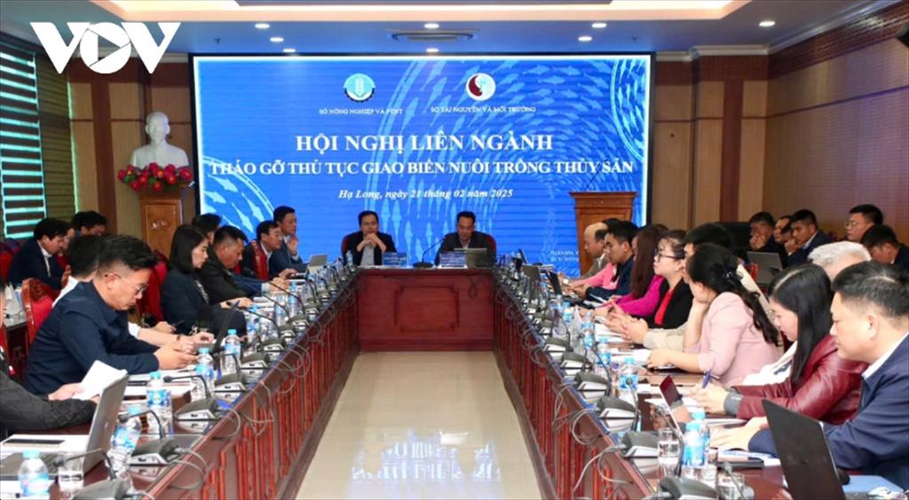 Quảng Ninh tháo gỡ khó khăn cho cấp phép nuôi trồng thủy sản trên biển