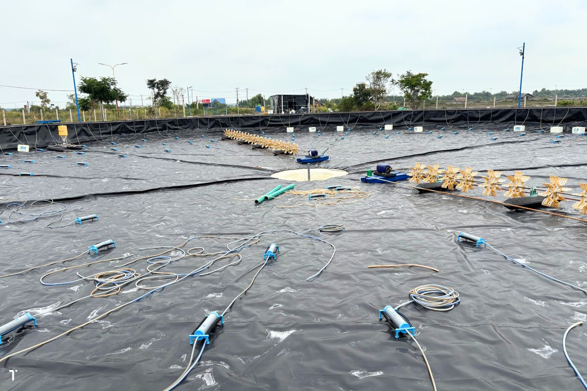 Maroc tăng cường các khu bảo tồn biển và nuôi trồng thủy sản bền vững 