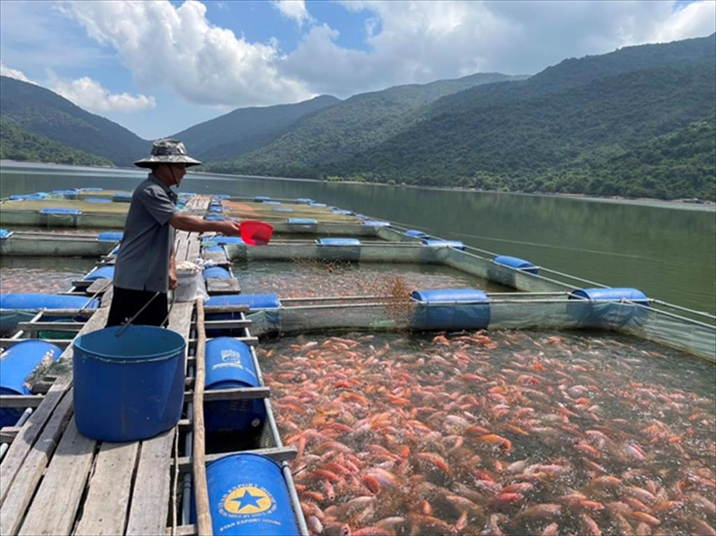 In 2025, Bình Định strives for a 3.0% growth target in aquaculture