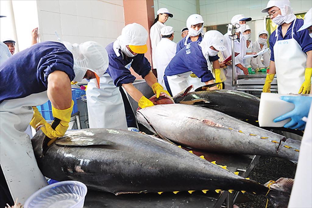 Greater opportunities for Vietnam’s tuna industry as the UK joins CPTPP