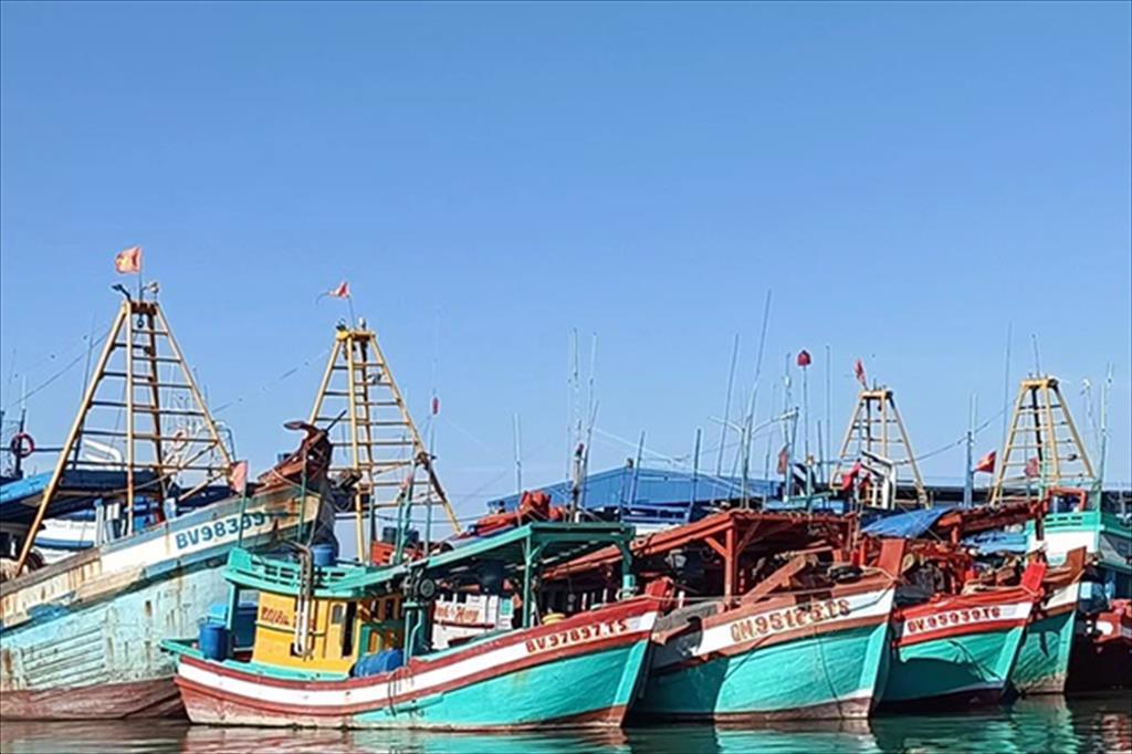 Tăng cường kiểm soát tàu cá ra vào cảng và truy xuất nguồn gốc thủy sản khai thác