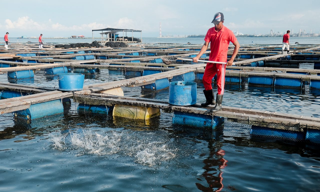 Đánh bắt bất hợp pháp tại Brunei gia tăng