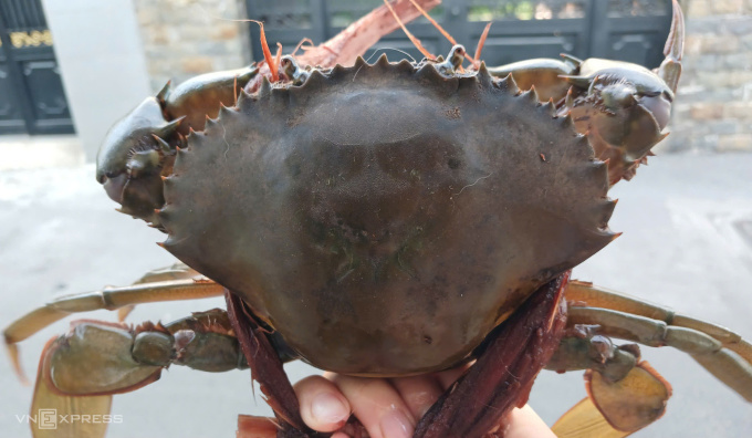 Positive outlook for Vietnam crab exports to China