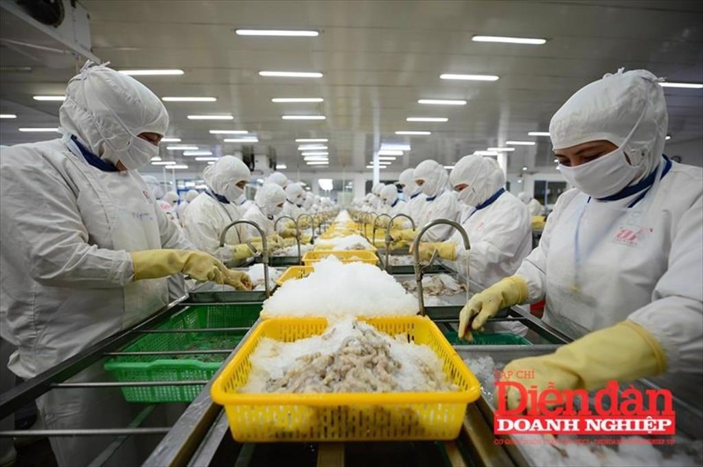 Sửa Nghị định 152018NĐ-CP về an toàn thực phẩm Nguy cơ gia tăng thêm thủ tục hành chính