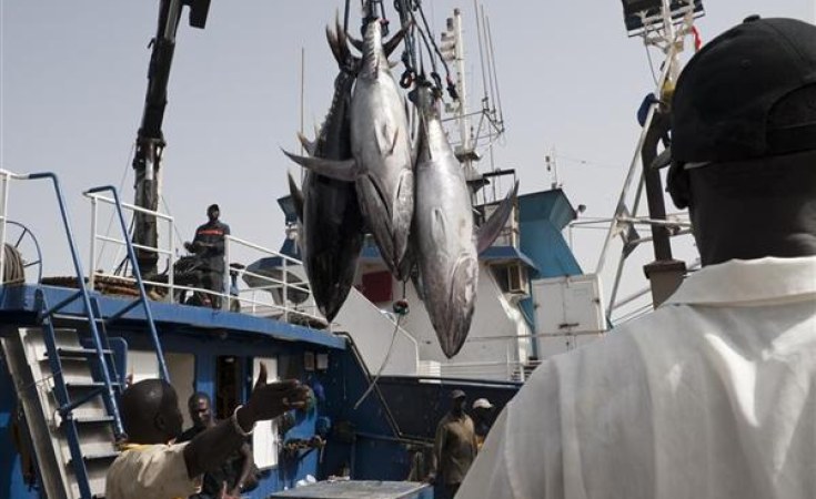 Chương trình hỗ trợ đánh bắt cá bền vững tại Zanzibar