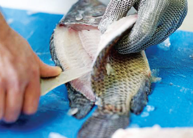 Xuất khẩu cá rô phi Việt Nam Bài toán đầu tư để đa dạng hóa sản phẩm cá thịt trắng