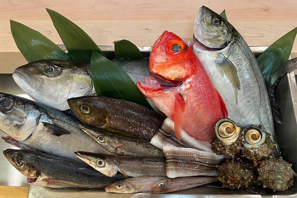 Chiến lược thủy sản của Trung Quốc trong thời đại thay đổi nhân khẩu học và địa chính trị