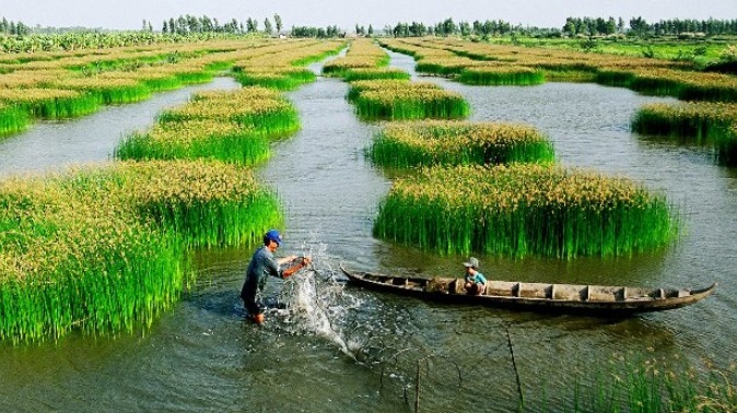 Xanh hóa ngành tôm Việt Nam Những bước đi cần thiết