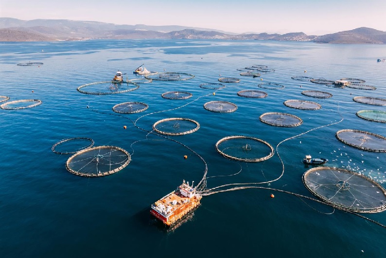 Hành động chung vì tương lai xanh của Châu Âu 