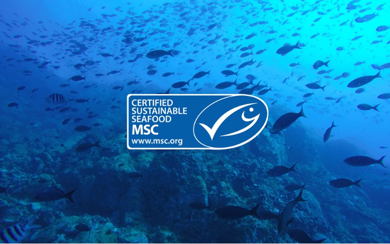 MSC sửa đổi quy trình phản đối chứng nhận nghề cá