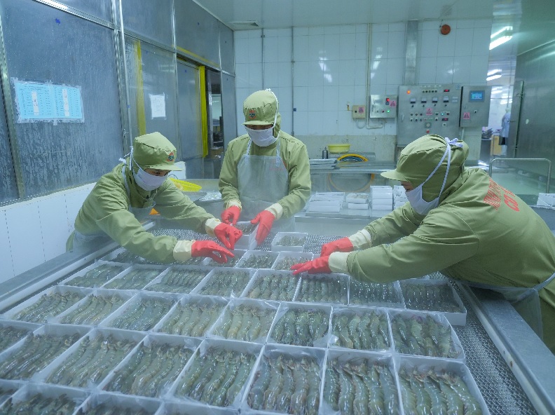 Một số vấn đề quan trọng của ngành thủy sản được Thủ tướng quan tâm, chỉ đạo trong Chỉ thị mới về thúc đẩy phát triển DN nhỏ và vừa